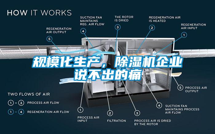 规模化生产，草莓视频APP在线企业说不出的痛