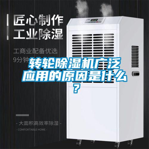 转轮草莓视频APP在线广泛应用的原因是什么？