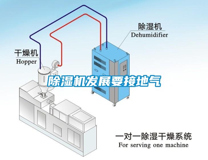 草莓视频APP在线发展要接地气