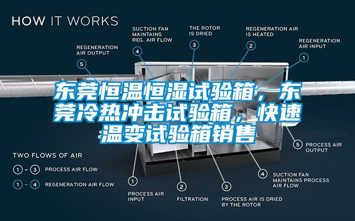 东莞恒温恒湿试验箱，东莞冷热冲击试验箱，快速温变试验箱销售