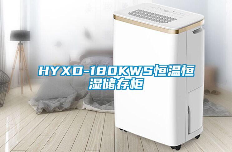 HYXD-180KWS恒温恒湿储存柜