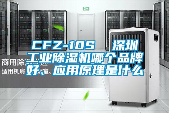 CFZ-10S  深圳工业草莓视频APP在线哪个品牌好、应用原理是什么