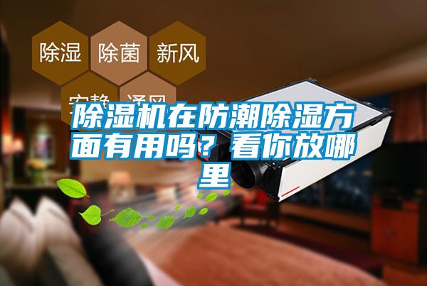 草莓视频APP在线在防潮除湿方面有用吗？看你放哪里