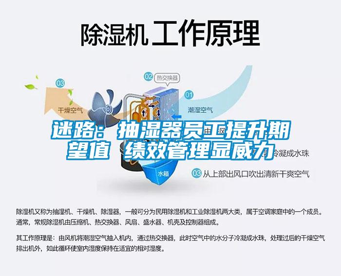 迷路：抽湿器员工提升期望值 绩效管理显威力