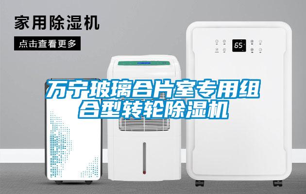 万宁玻璃合片室专用组合型转轮草莓视频APP在线