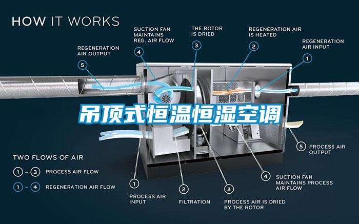 吊顶式恒温恒湿空调