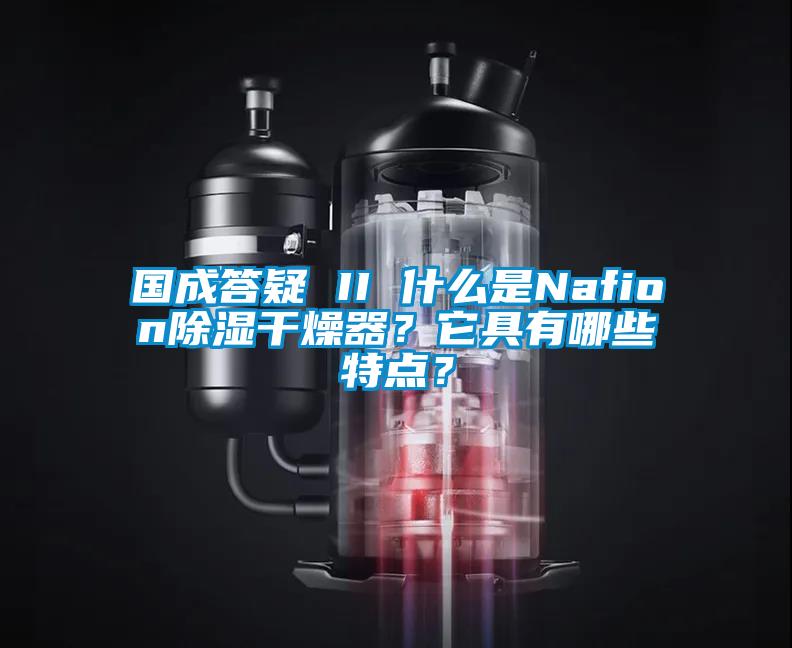 国成答疑 II 什么是Nafion除湿干燥器？它具有哪些特点？