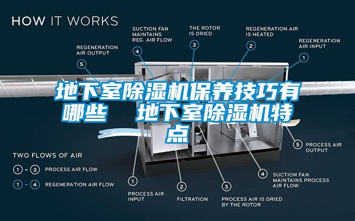 地下室草莓视频APP在线保养技巧有哪些  地下室草莓视频APP在线特点