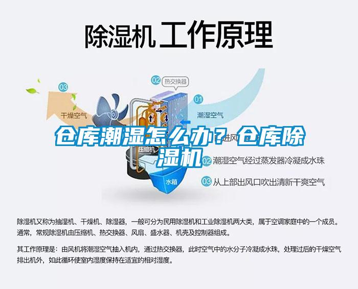 仓库潮湿怎么办？仓库草莓视频APP在线