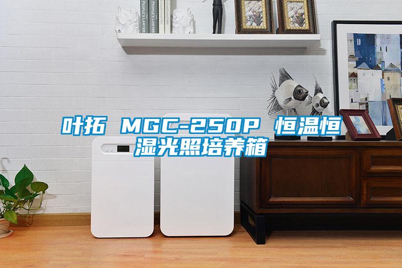 叶拓 MGC-250P 恒温恒湿光照培养箱