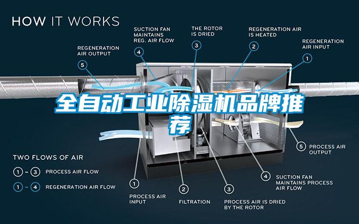 全自动工业草莓视频APP在线品牌推荐