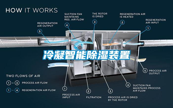 冷凝智能除湿装置