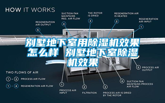 别墅地下室用草莓视频APP在线效果怎么样 别墅地下室草莓视频APP在线效果