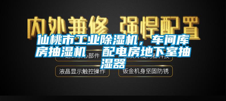 仙桃市工业草莓视频APP在线，车间库房抽湿机  配电房地下室抽湿器