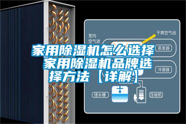 家用草莓视频APP在线怎么选择 家用草莓视频APP在线品牌选择方法【详解】