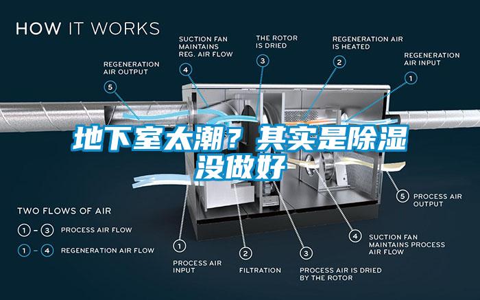 地下室太潮？其实是除湿没做好