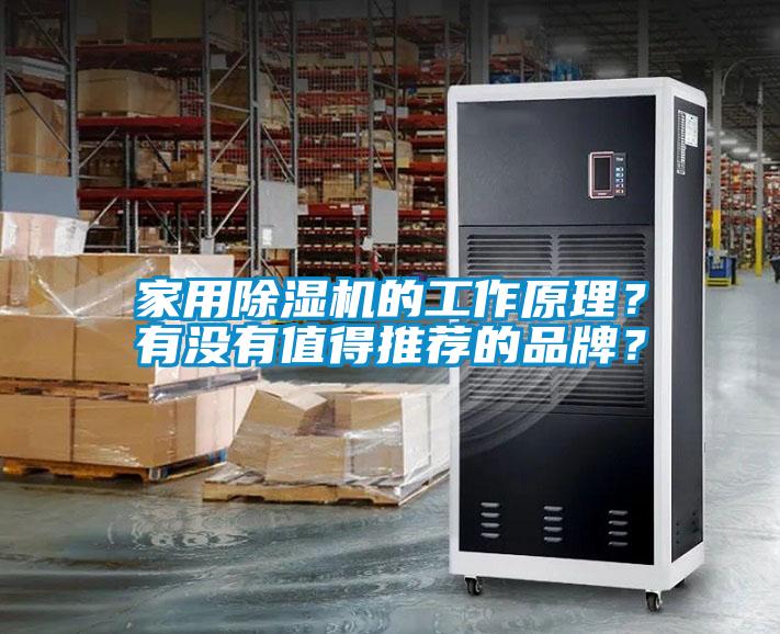 家用草莓视频APP在线的工作原理？有没有值得推荐的品牌？