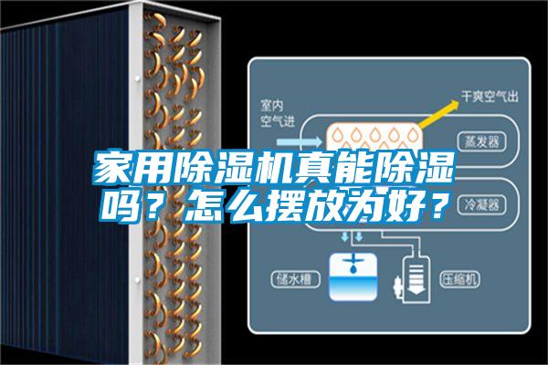 家用草莓视频APP在线真能除湿吗？怎么摆放为好？