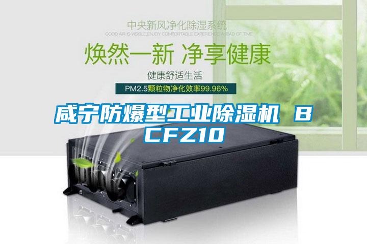 咸宁防爆型工业草莓视频APP在线 BCFZ10