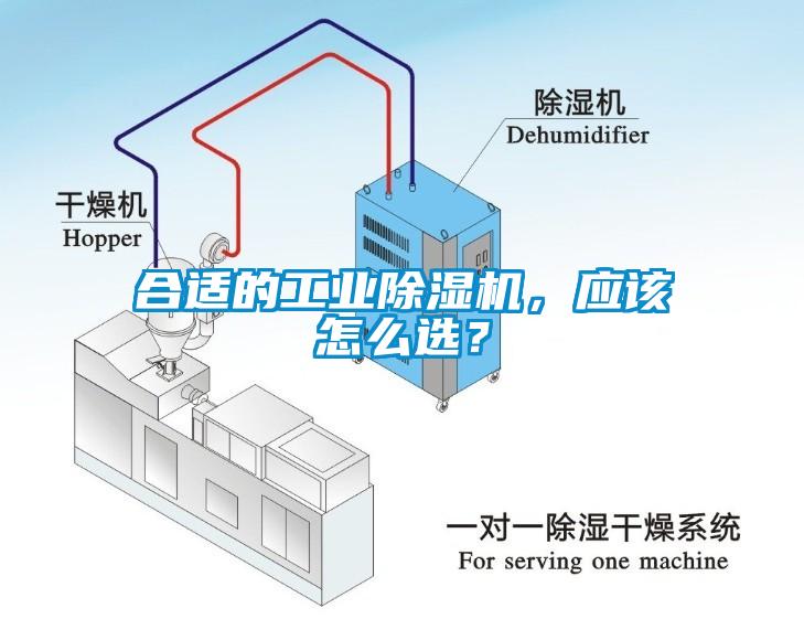 合适的工业草莓视频APP在线，应该怎么选？