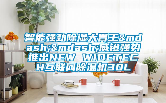 智能强劲除湿大胃王——威镫强势推出NEW WIDETECH互联网草莓视频APP在线30L