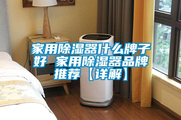 家用除湿器什么牌子好 家用除湿器品牌推荐【详解】