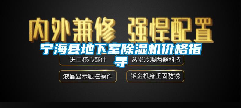 宁海县地下室草莓视频APP在线价格指导