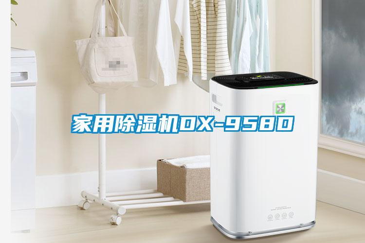 家用草莓视频APP在线DX-958D