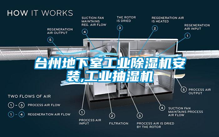 台州地下室工业草莓视频APP在线安装,工业抽湿机