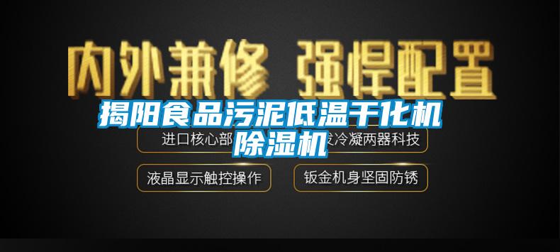 揭阳食品污泥低温干化机 草莓视频APP在线