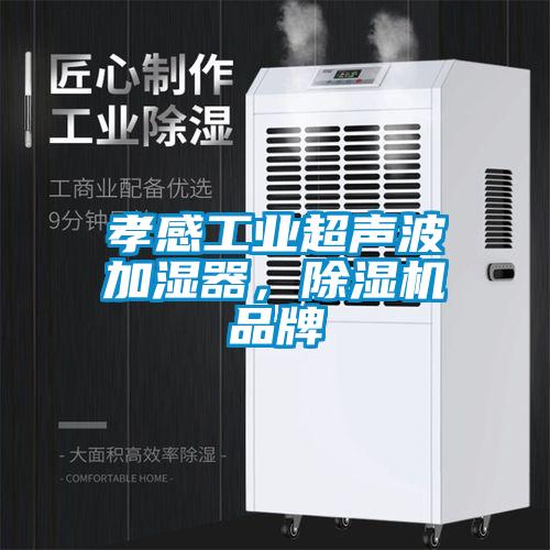 孝感工业超声波加湿器，草莓视频APP在线品牌