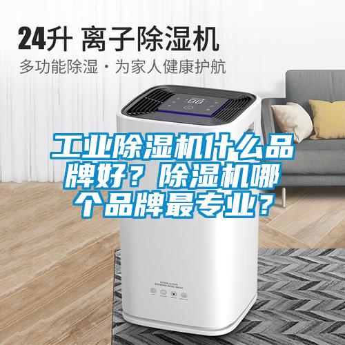 工业草莓视频APP在线什么品牌好？草莓视频APP在线哪个品牌最专业？