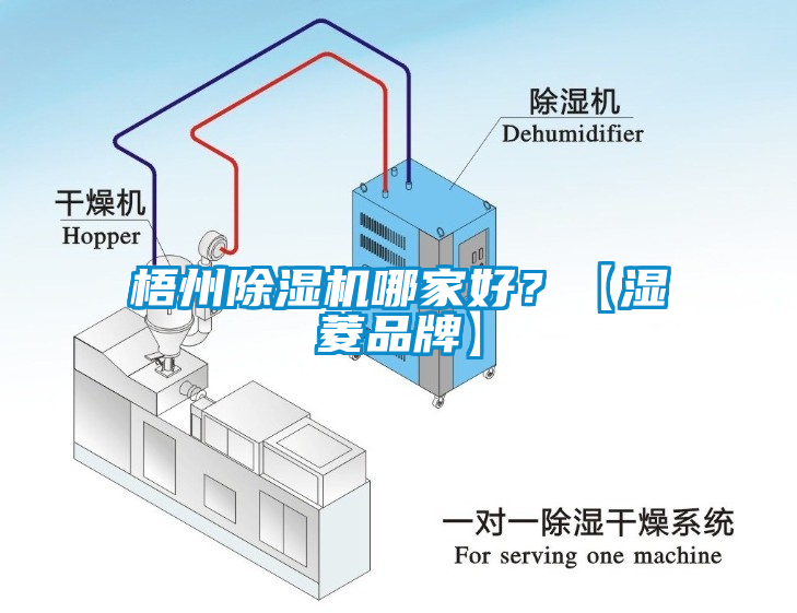 梧州草莓视频APP在线哪家好？【湿菱品牌】