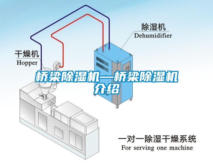 桥梁草莓视频APP在线—桥梁草莓视频APP在线介绍