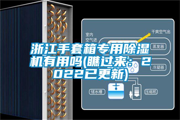 浙江手套箱专用草莓视频APP在线有用吗(瞧过来：2022已更新)