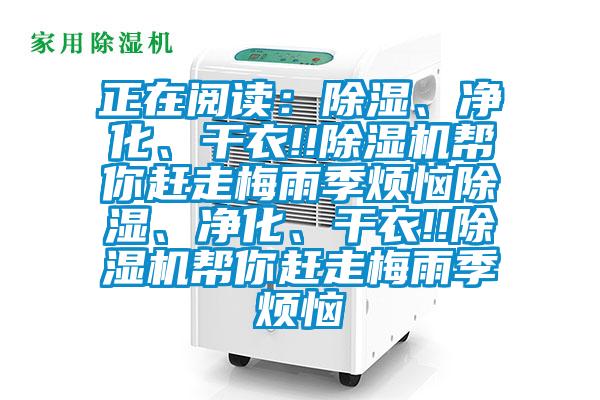 正在阅读：除湿、净化、干衣!!草莓视频APP在线帮你赶走梅雨季烦恼除湿、净化、干衣!!草莓视频APP在线帮你赶走梅雨季烦恼