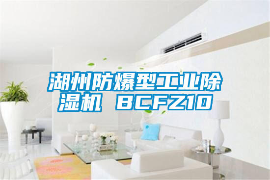 湖州防爆型工业草莓视频APP在线 BCFZ10