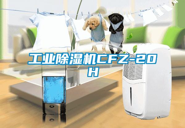 工业草莓视频APP在线CFZ-20H