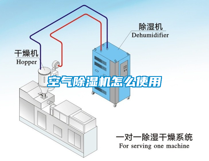 空气草莓视频APP在线怎么使用