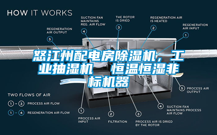 怒江州配电房草莓视频APP在线，工业抽湿机  恒温恒湿非标机器