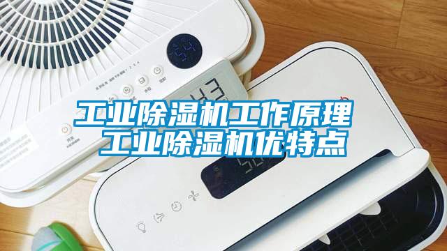 工业草莓视频APP在线工作原理 工业草莓视频APP在线优特点