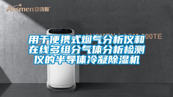 用于便携式烟气分析仪和在线多组分气体分析检测仪的半导体冷凝草莓视频APP在线