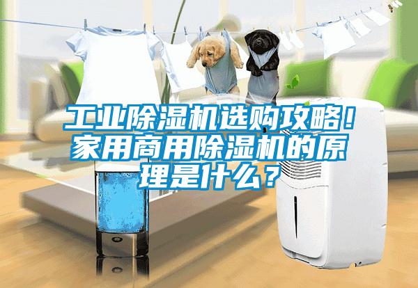 工业草莓视频APP在线选购攻略！家用商用草莓视频APP在线的原理是什么？