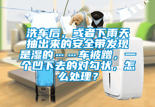 洗车后，或者下雨天抽出来的安全带发现是湿的……车被蹭，一个凹下去的对勾状，怎么处理？