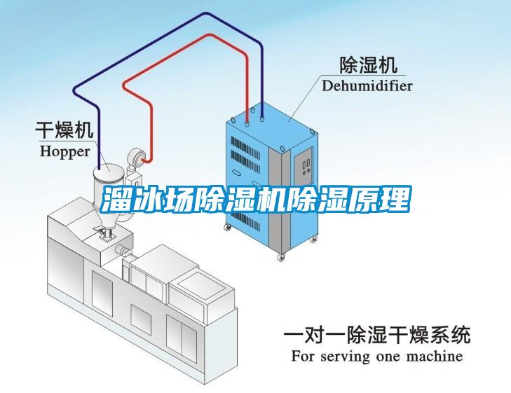 溜冰场草莓视频APP在线除湿原理