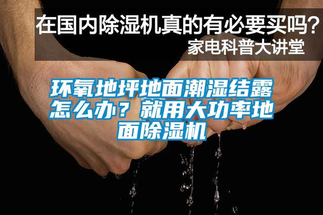 环氧地坪地面潮湿结露怎么办？就用大功率地面草莓视频APP在线