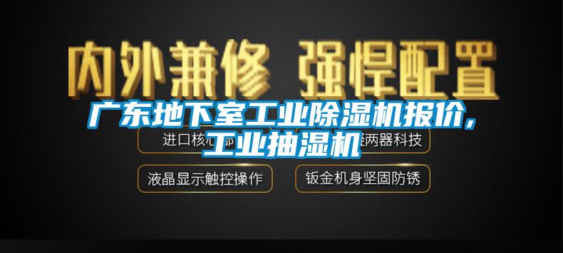 广东地下室工业草莓视频APP在线报价,工业抽湿机