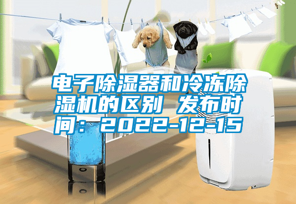 电子除湿器和冷冻草莓视频APP在线的区别 发布时间：2022-12-15