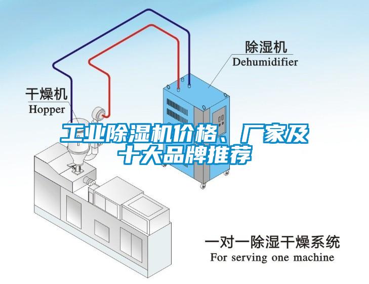 工业草莓视频APP在线价格、厂家及十大品牌推荐