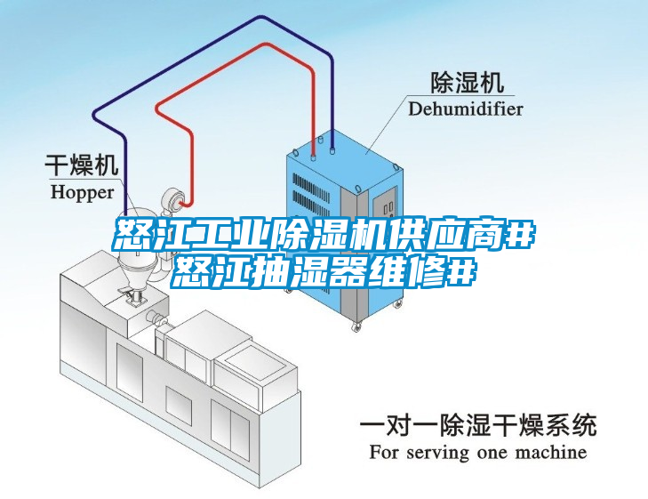 怒江工业草莓视频APP在线供应商#怒江抽湿器维修#